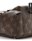 Monogram Palm Springs Backpack Mini