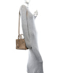 Calfskin Crocodile Embossed Nano Sac De Jour Brown