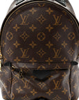 Monogram Palm Springs Backpack PM
