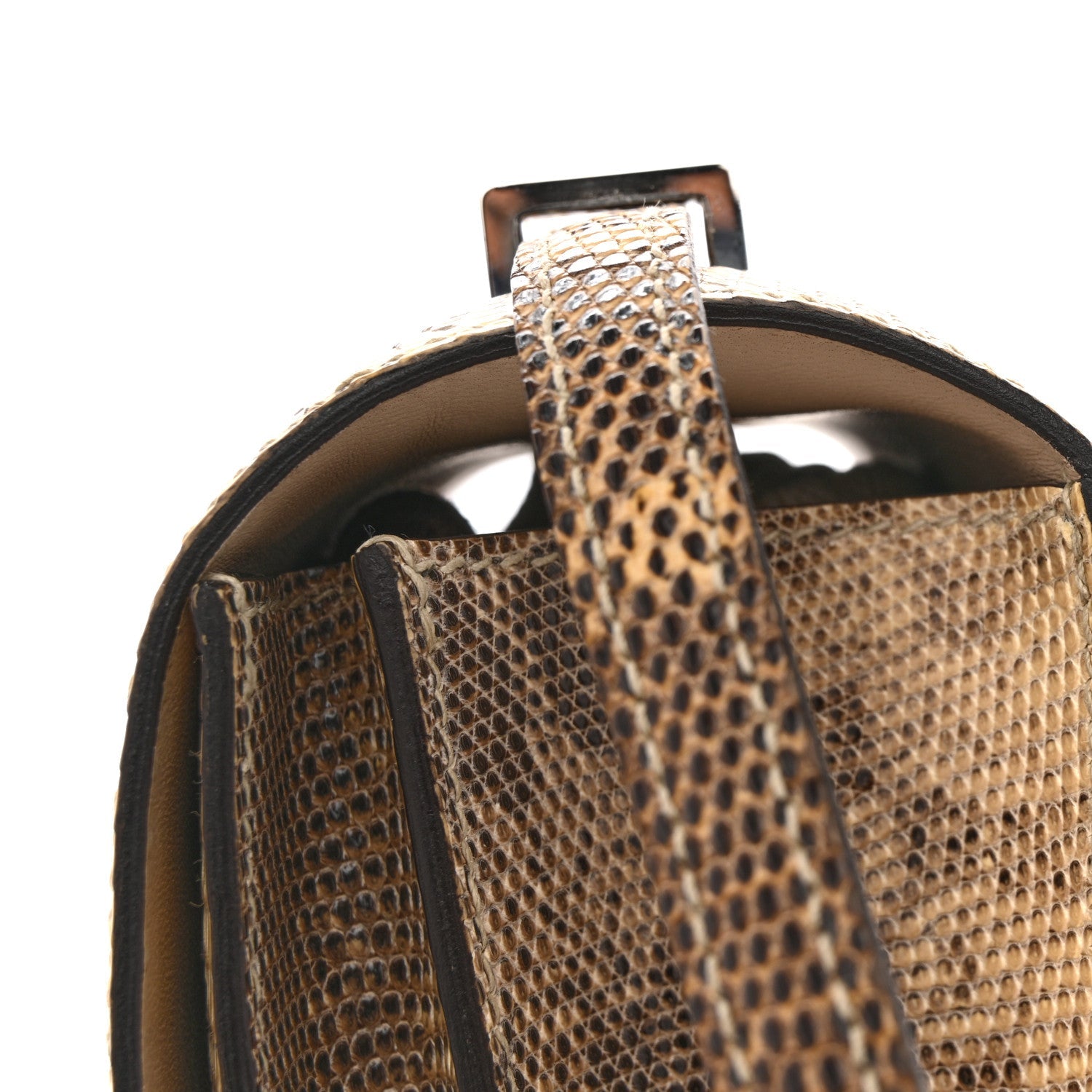 Lizard Constance 18 Ombre