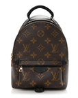 Monogram Palm Springs Backpack Mini