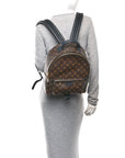 Monogram Palm Springs Backpack MM