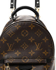 Monogram Palm Springs Backpack Mini