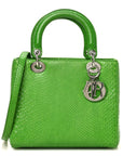 Snakeskin Medium Lady D1OR Green