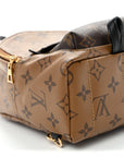 Reverse Monogram Palm Springs Backpack Mini