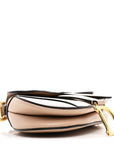 Grained Calfskin Mini Saddle Bag Fard