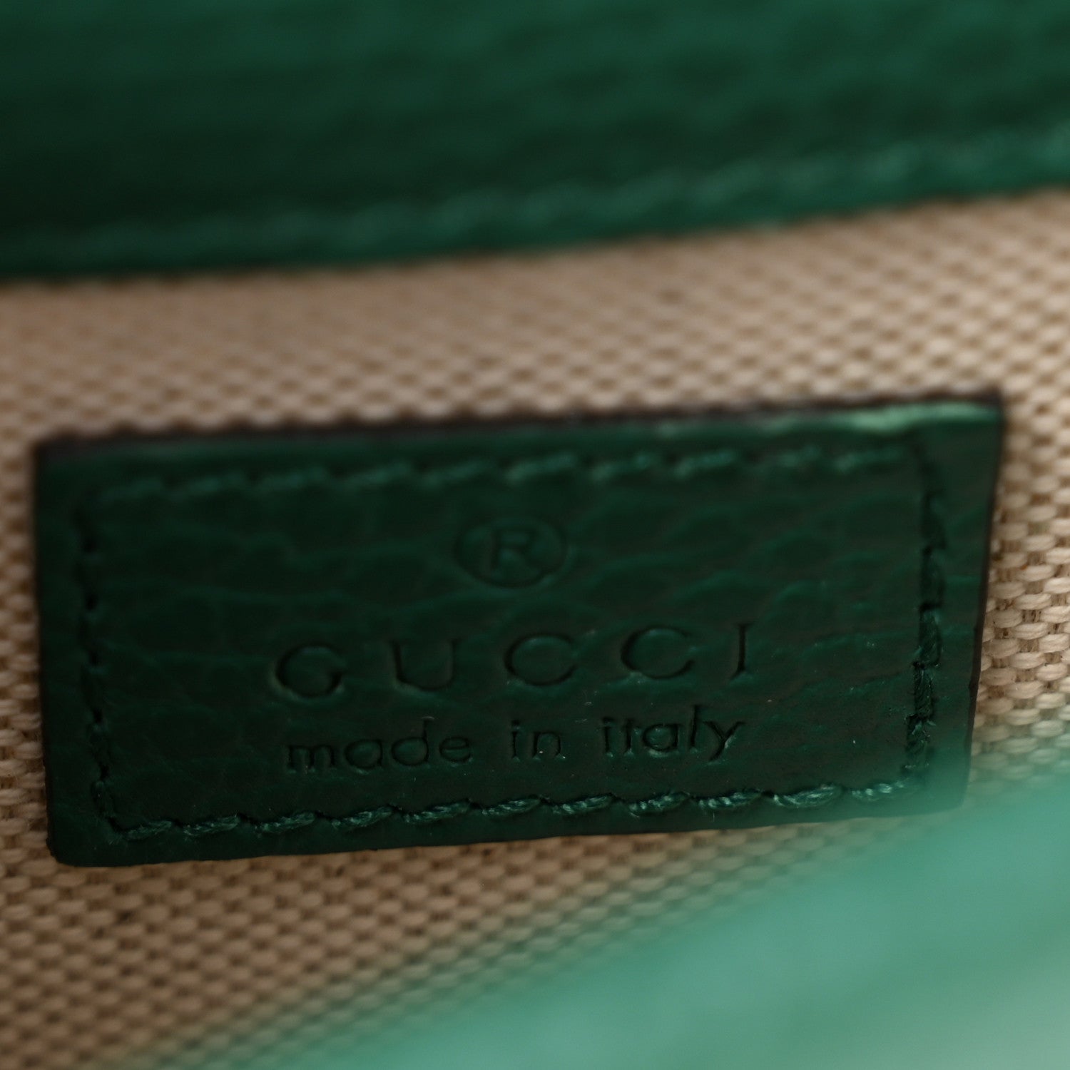 Dollar Calfskin Crystal Mini Dionysus Top Handle Bag Emerald