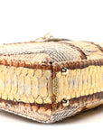 Snakeskin Mini Lady D1OR Beige Gold