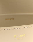Shiny Calfskin Nano Triomphe Nude