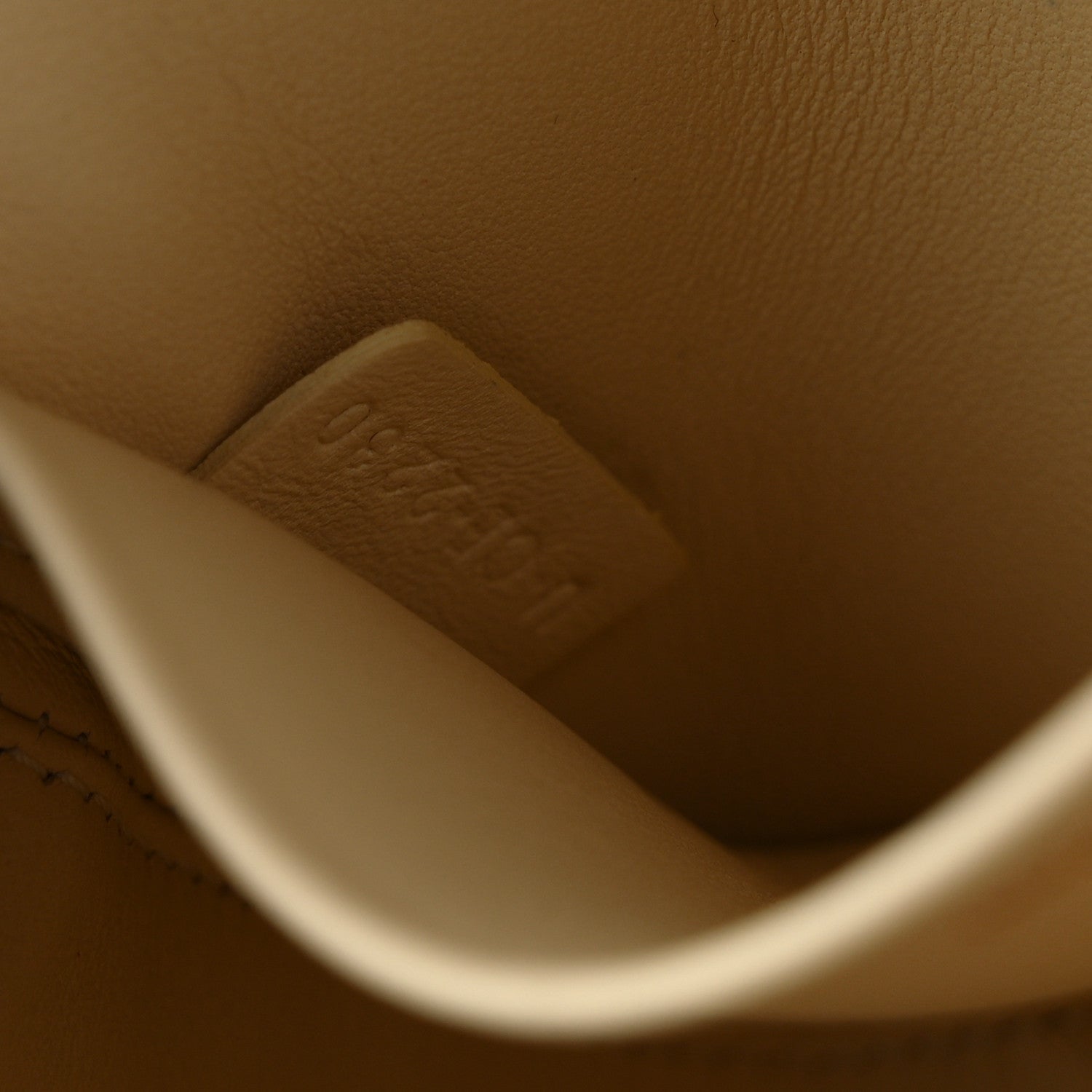 Shiny Calfskin Nano Triomphe Nude