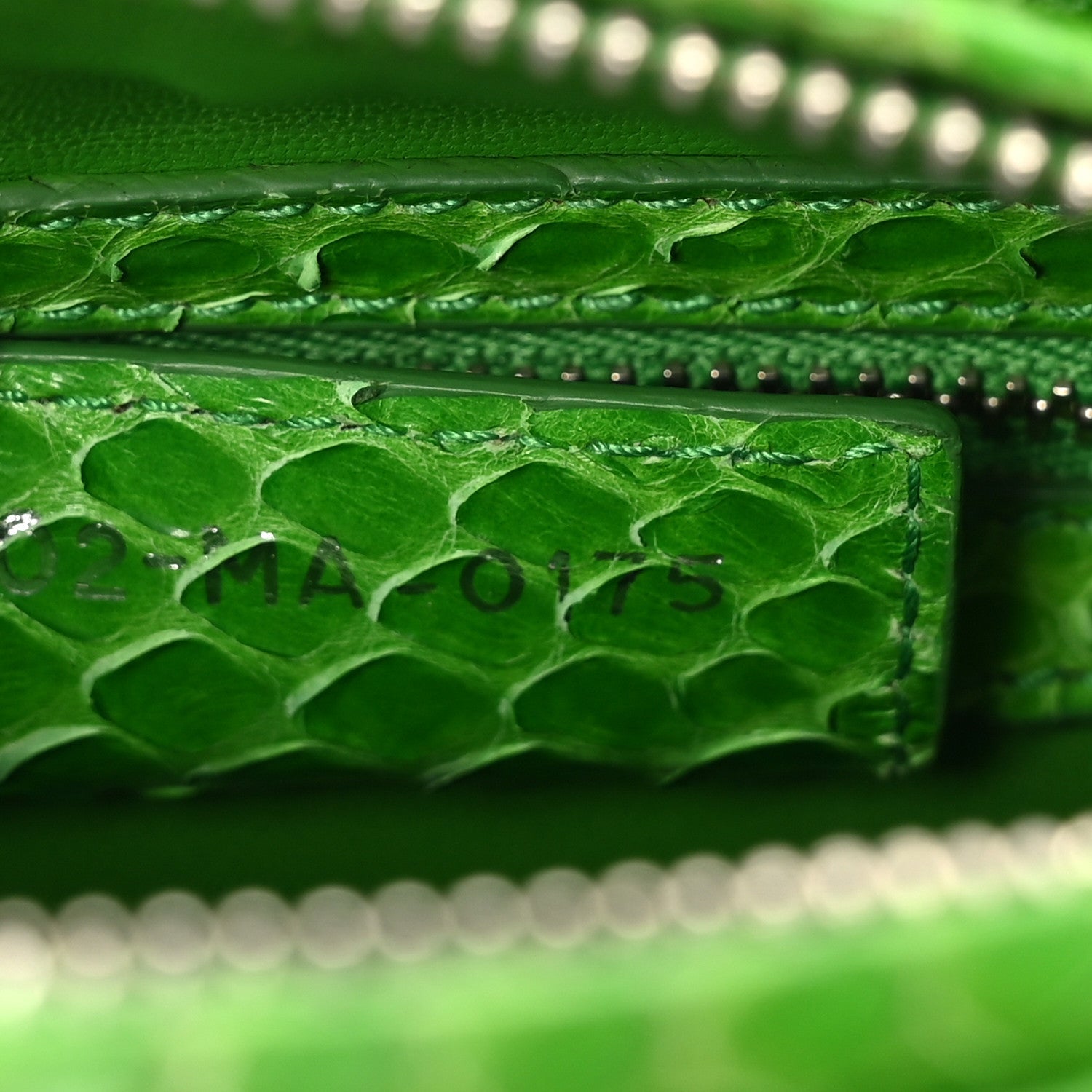 Snakeskin Medium Lady D1OR Green