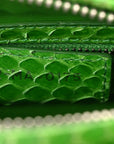 Snakeskin Medium Lady D1OR Green