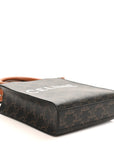 Triomphe Canvas Calfskin Mini Vertical Cabas Tan