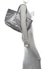Goyardine Saint Louis PM Grey