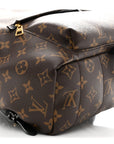 Monogram Palm Springs Backpack MM