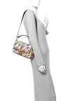 Canvas Ricamo Vitello King FF Multicolor Embroidered Baguette Grezzo Multicolor Gianduia