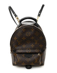 Monogram Palm Springs Backpack Mini