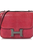 Lizard Constance 18 Fuchsia