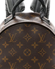 Monogram Palm Springs Backpack PM