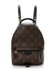 Monogram Palm Springs Backpack Mini