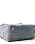Alligator Crystal Mini Lady D1OR Blue