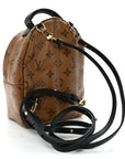 Reverse Monogram Palm Springs Backpack Mini