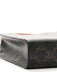 Triomphe Canvas Calfskin Mini Vertical Cabas Tan