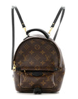 Monogram Palm Springs Backpack Mini