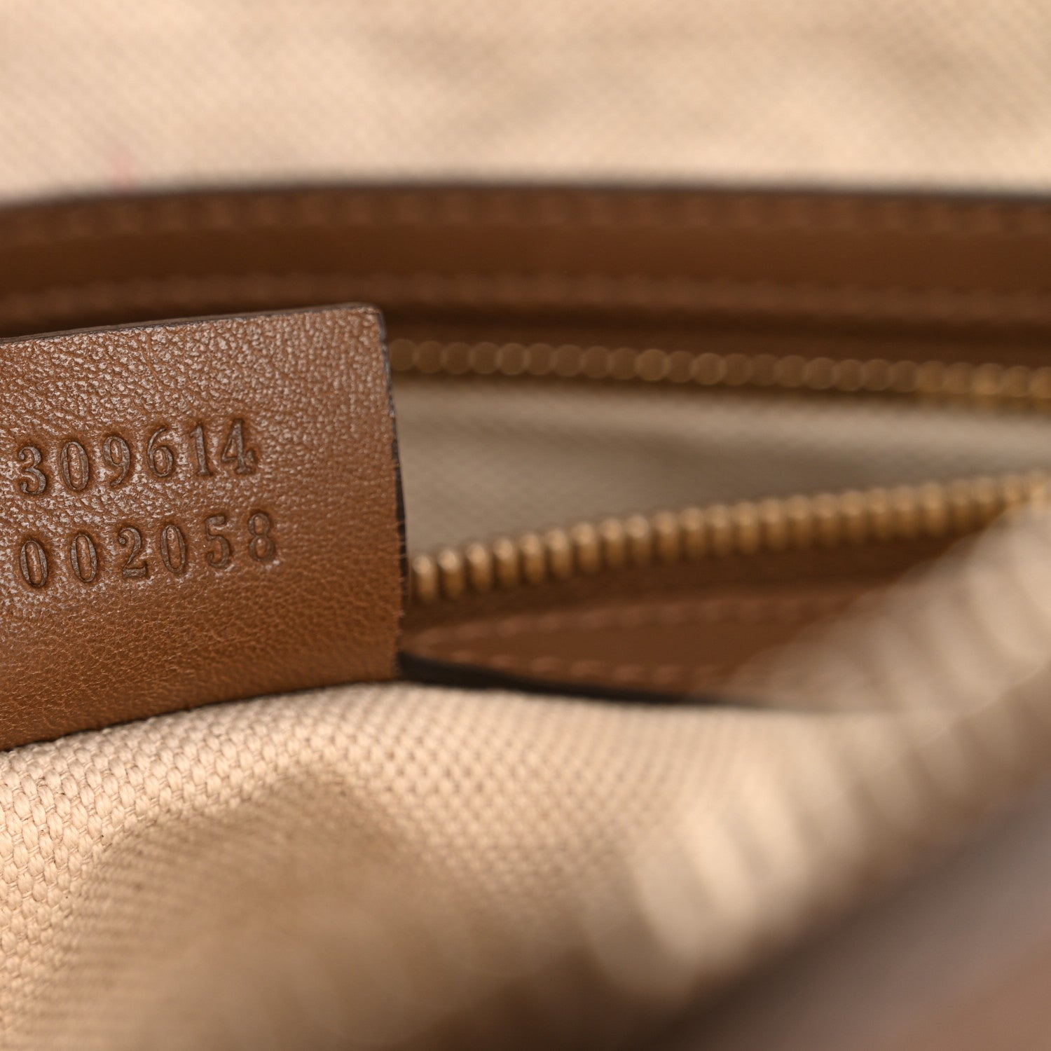 GG Supreme Monogram Medium Nice Top Handle Dome Bag Brown