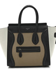 Bullhide Drummed Calfskin Micro Tri-Color Luggage Antarctic
