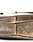 Lizard Constance 18 Ombre