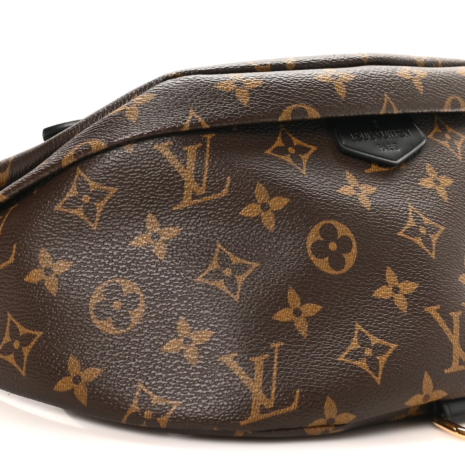 Monogram My LV World Tour Bumbag