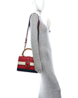 Calfskin Bamboo Web Medium Dionysus Top Handle Bag Red White Blue