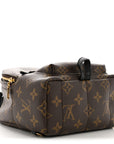 Monogram Palm Springs Backpack Mini