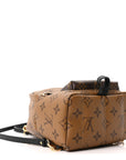 Reverse Monogram Palm Springs Backpack Mini