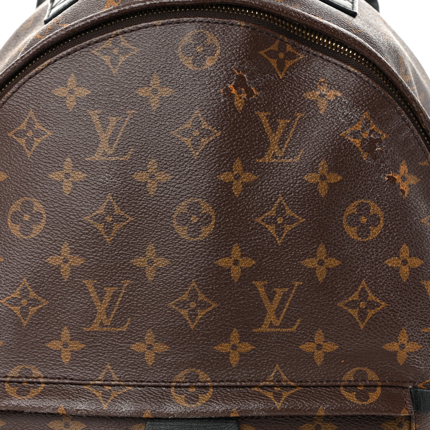 Monogram Palm Springs Backpack MM
