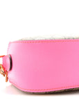 GG Supreme Monogram Textured Dollar Calfskin Web Ophidia Small Crossbody Bag Beige Ebony Fuchsia