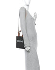 Triomphe Canvas Calfskin Mini Vertical Cabas Tan