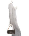 Monogram Chain Pochette Accessories