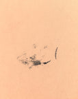 Monogram Alma BB
