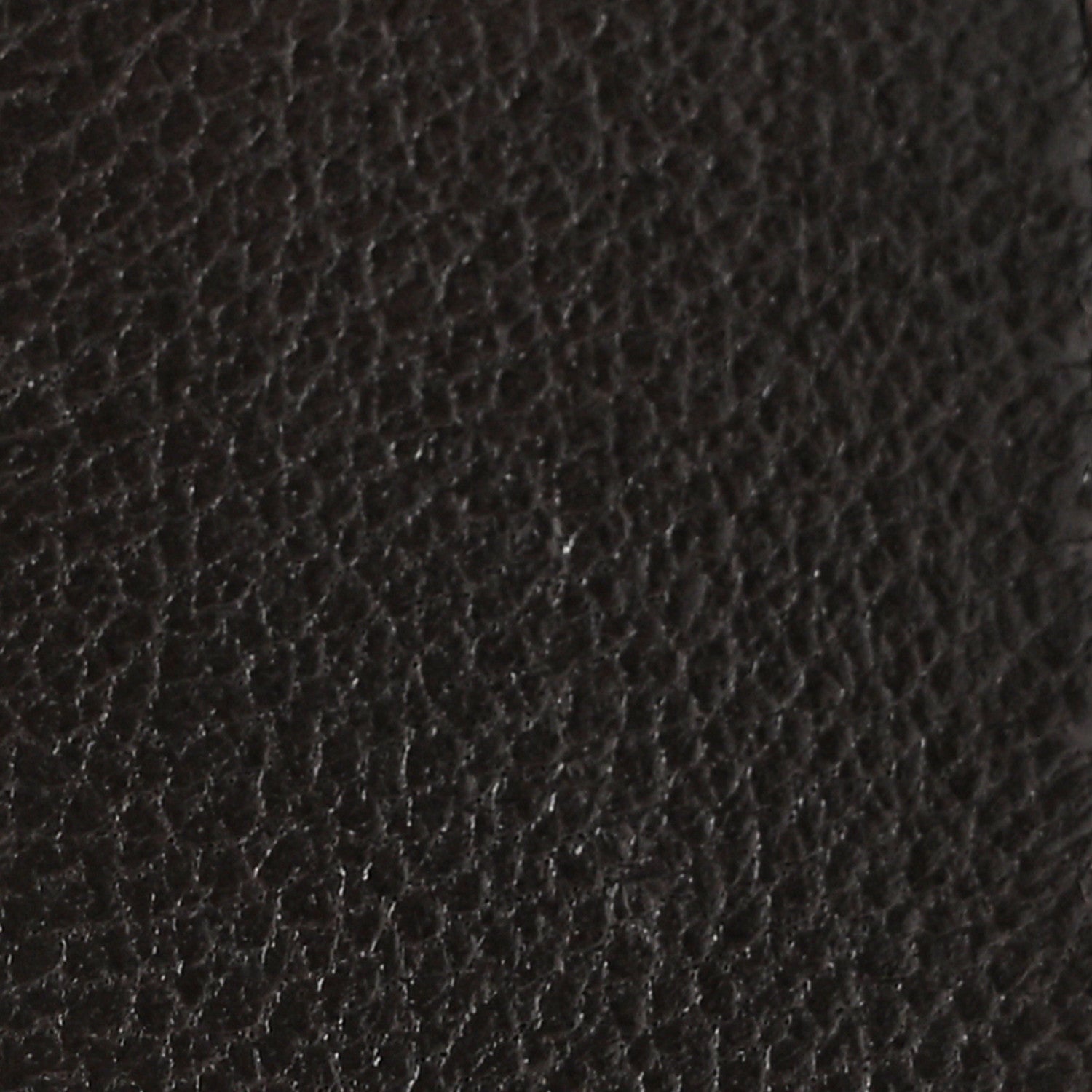 Lambskin Quilted Medium CHNL 19 Flap Dark Brown