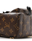 Monogram Palm Springs Backpack Mini