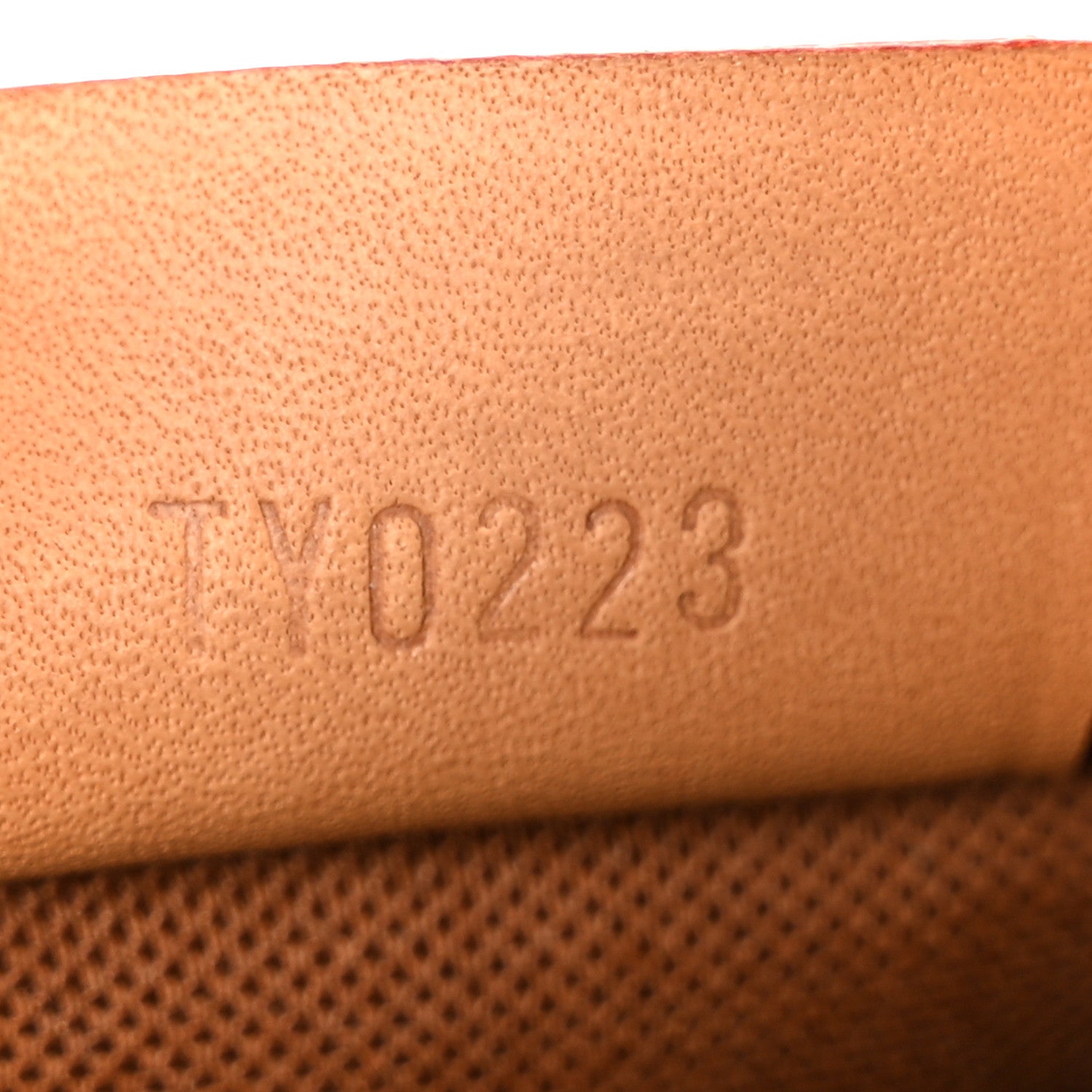 Monogram Nano Speedy Bandouliere