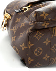 Monogram Palm Springs Backpack PM