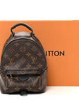 Monogram Palm Springs Backpack Mini