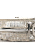 Crystal Vitello Laminato Suede FF Nano FNDIgraphy Hobo Charm Grey