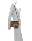 Triomphe Canvas Calfskin Medium Triomphe Bag Tan