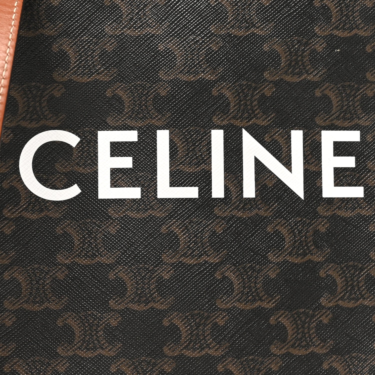 Triomphe Canvas Calfskin Mini Vertical Cabas Tan