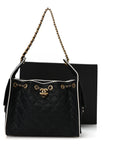 Braided Raffia Calfskin Small CHNL 25 Handbag Black White