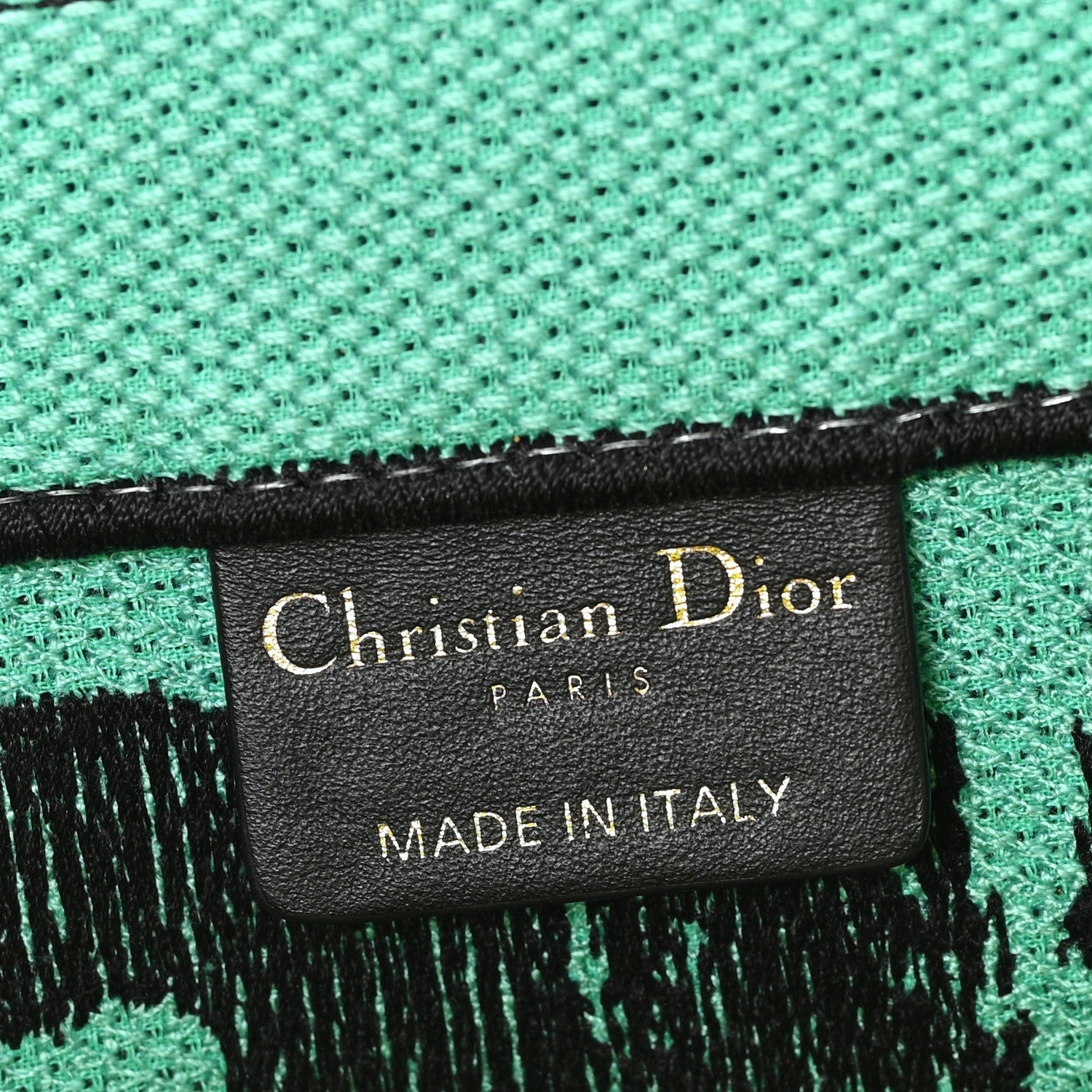 Canvas Embroidered Medium Miss D1OR Graffiti Book Tote Green Blue